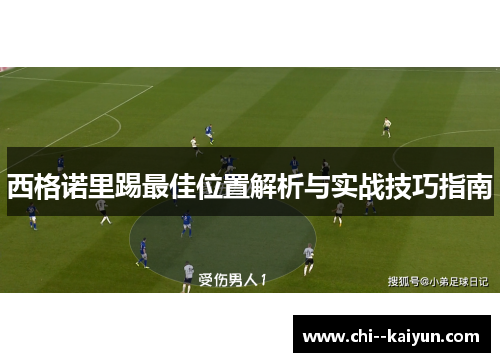 西格诺里踢最佳位置解析与实战技巧指南 西格诺里踢最佳位置解析与实战技巧指南