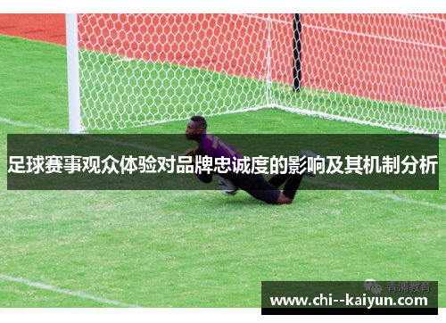 足球赛事观众体验对品牌忠诚度的影响及其机制分析