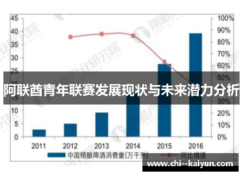 阿联酋青年联赛发展现状与未来潜力分析